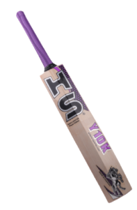 HS Y10K Cricket Bat