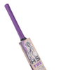 HS Y10K Cricket Bat
